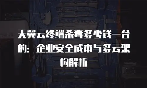 天翼云终端杀毒多少钱一台的：企业安全成本与多云架构解析
