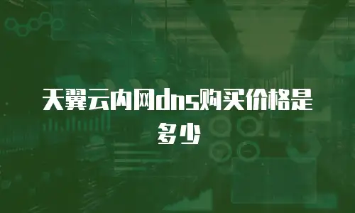 天翼云内网dns购买价格是多少