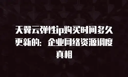 天翼云弹性ip购买时间多久更新的：企业网络资源调度真相