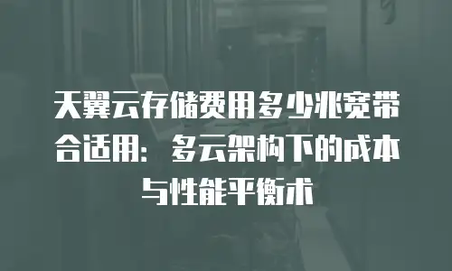 天翼云存储费用多少兆宽带合适用：多云架构下的成本与性能平衡术