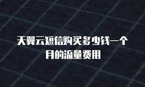 天翼云短信购买多少钱一个月的流量费用