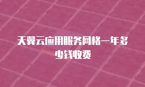 天翼云应用服务网格一年多少钱收费