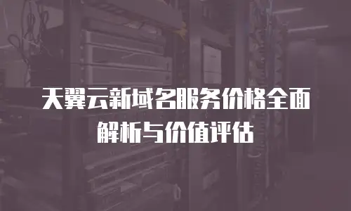 天翼云新域名服务价格全面解析与价值评估