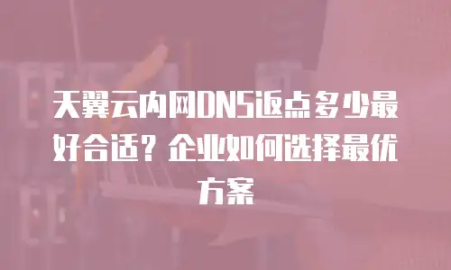天翼云内网DNS返点多少最好合适？企业如何选择最优方案