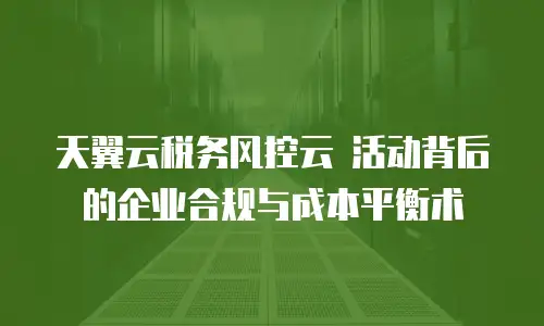 天翼云税务风控云 活动背后的企业合规与成本平衡术