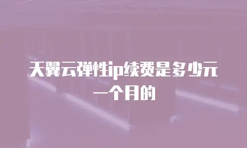天翼云弹性ip续费是多少元一个月的