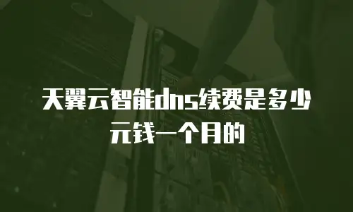 天翼云智能dns续费是多少元钱一个月的