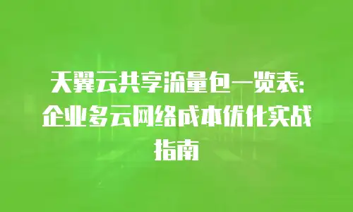 天翼云共享流量包一览表：企业多云网络成本优化实战指南