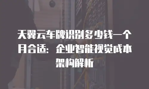 天翼云车牌识别多少钱一个月合适：企业智能视觉成本架构解析