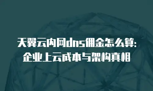 天翼云内网dns佣金怎么算：企业上云成本与架构真相