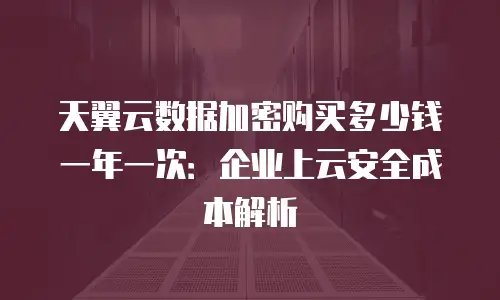 天翼云数据加密购买多少钱一年一次：企业上云安全成本解析