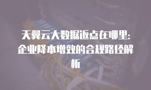天翼云大数据返点在哪里：企业降本增效的合规路径解析