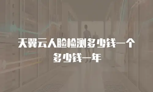 天翼云人脸检测多少钱一个多少钱一年