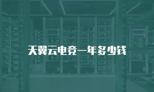 天翼云电竞一年多少钱