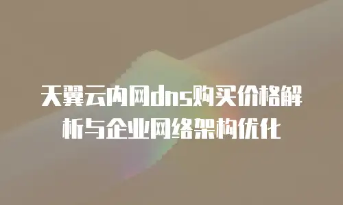 天翼云内网dns购买价格解析与企业网络架构优化