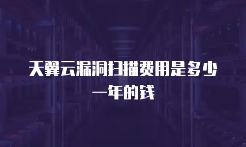 天翼云漏洞扫描费用是多少一年的钱