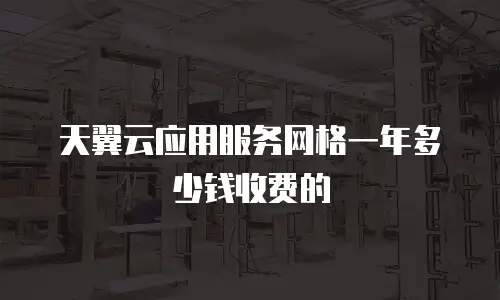 天翼云应用服务网格一年多少钱收费的