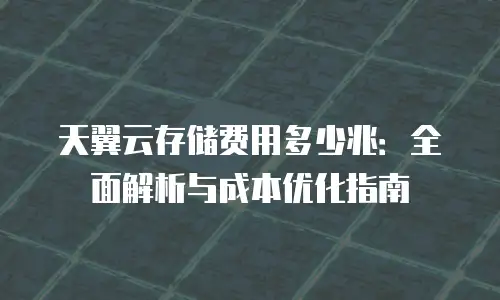 天翼云存储费用多少兆：全面解析与成本优化指南