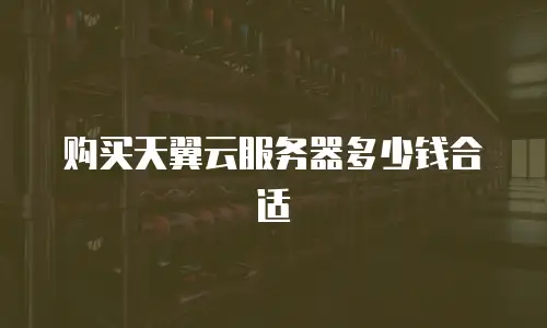 购买天翼云服务器多少钱合适