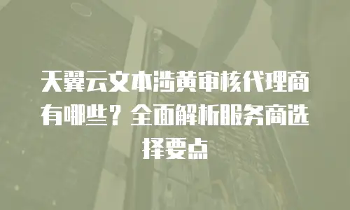 天翼云文本涉黄审核代理商有哪些？全面解析服务商选择要点