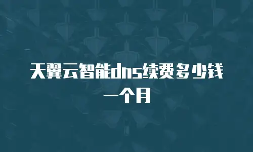 天翼云智能dns续费多少钱一个月