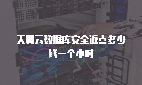 天翼云数据库安全返点多少钱一个小时
