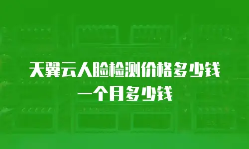 天翼云人脸检测价格多少钱一个月多少钱