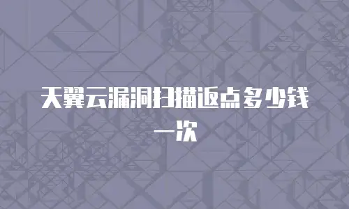 天翼云漏洞扫描返点多少钱一次