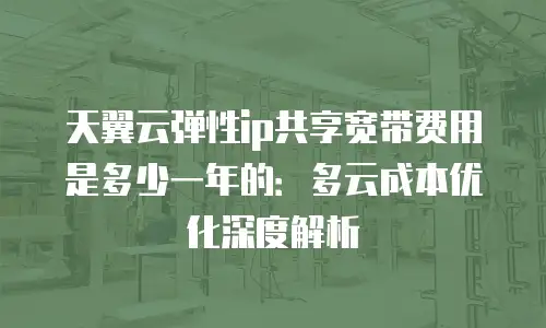 天翼云弹性ip共享宽带费用是多少一年的：多云成本优化深度解析