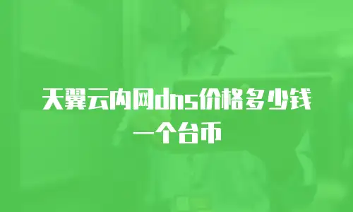 天翼云内网dns价格多少钱一个台币