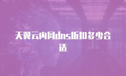 天翼云内网dns折扣多少合适