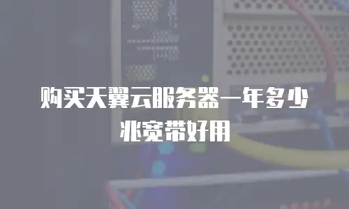 购买天翼云服务器一年多少兆宽带好用