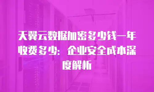 天翼云数据加密多少钱一年收费多少：企业安全成本深度解析