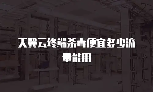 天翼云终端杀毒便宜多少流量能用
