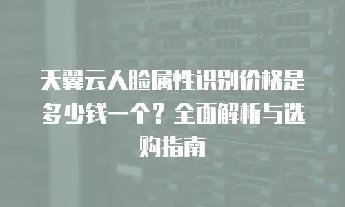 天翼云人脸属性识别价格是多少钱一个？全面解析与选购指南