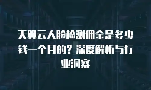 天翼云人脸检测佣金是多少钱一个月的？深度解析与行业洞察