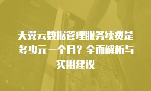 天翼云数据管理服务续费是多少元一个月？全面解析与实用建议