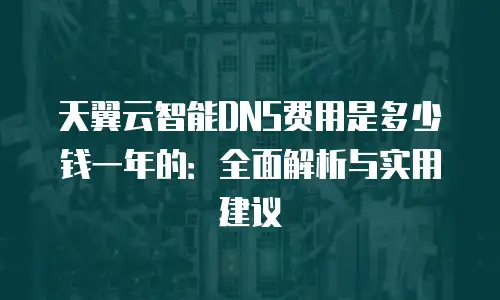天翼云智能DNS费用是多少钱一年的：全面解析与实用建议