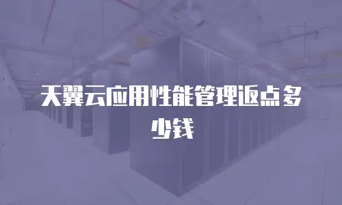 天翼云应用性能管理返点多少钱