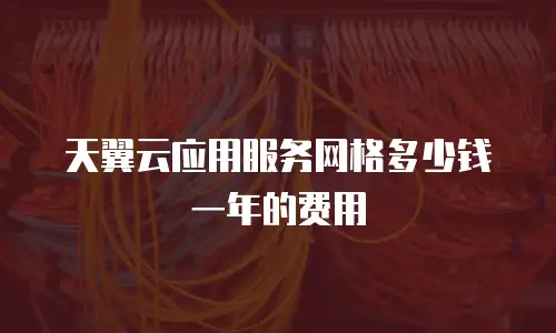 天翼云应用服务网格多少钱一年的费用