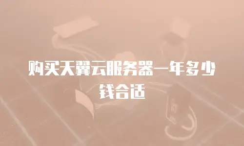 购买天翼云服务器一年多少钱合适