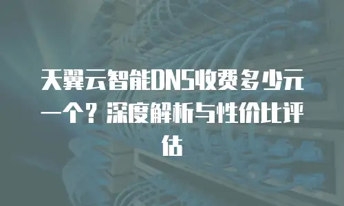 天翼云智能DNS收费多少元一个？深度解析与性价比评估