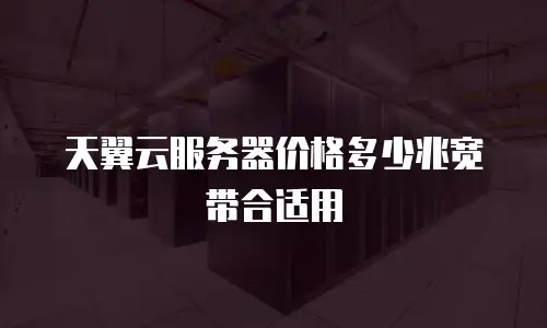 天翼云服务器价格多少兆宽带合适用
