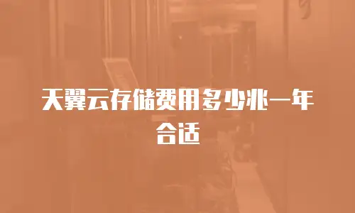 天翼云存储费用多少兆一年合适