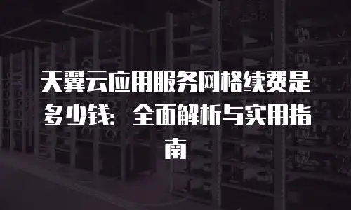 天翼云应用服务网格续费是多少钱：全面解析与实用指南