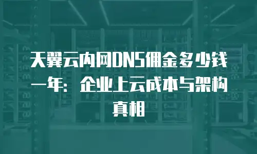 天翼云内网DNS佣金多少钱一年：企业上云成本与架构真相