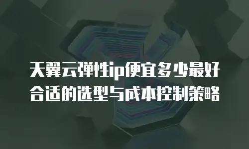 天翼云弹性ip便宜多少最好合适的选型与成本控制策略