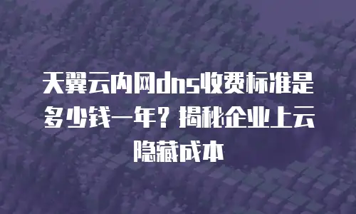 天翼云内网dns收费标准是多少钱一年？揭秘企业上云隐藏成本
