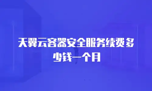 天翼云容器安全服务续费多少钱一个月