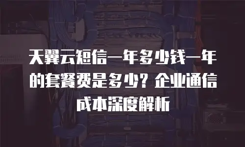 天翼云短信一年多少钱一年的套餐费是多少？企业通信成本深度解析